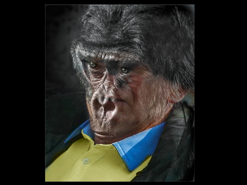 161 - GORILLA MAN - BAKER BRIAN - united kingdom.jpg